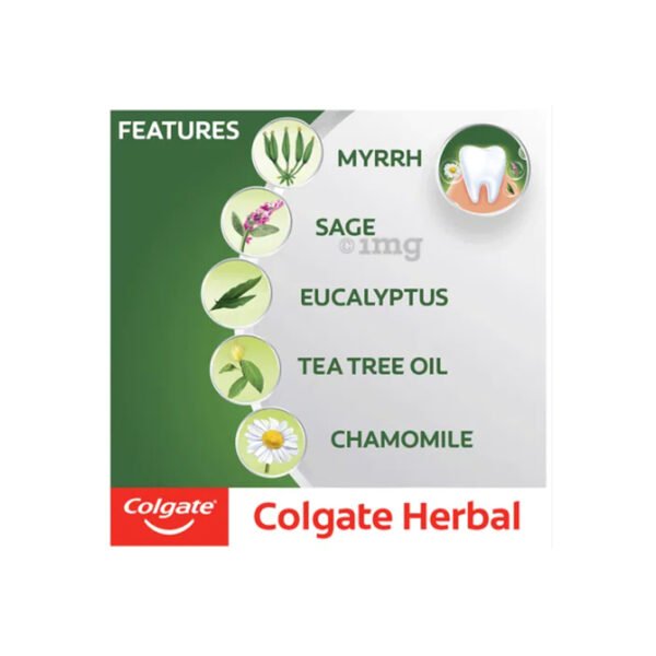 Toothpaste Colgate Herbal 2